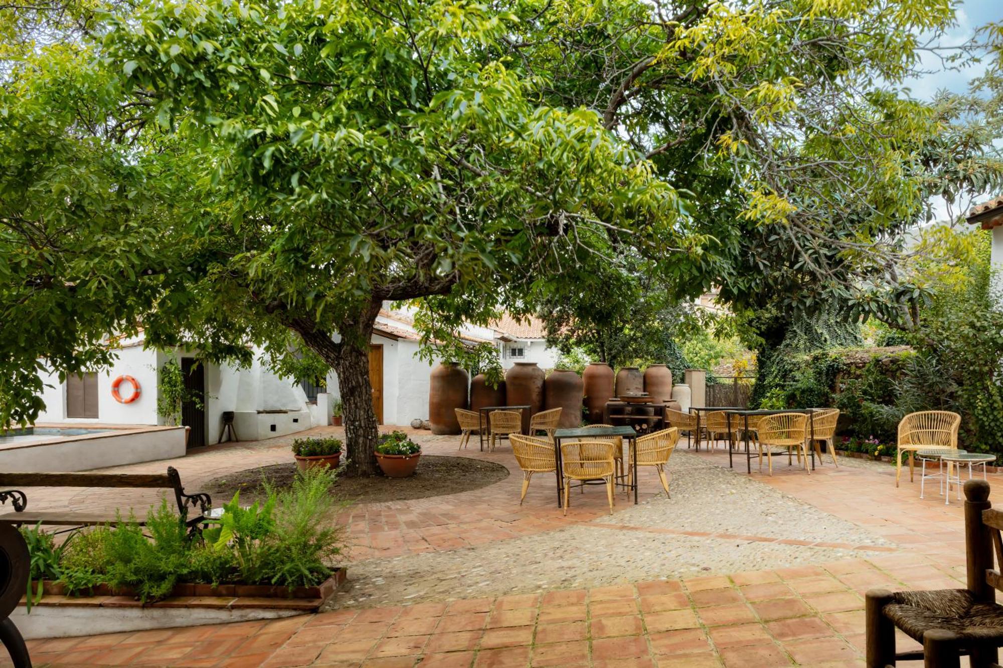 Apartamentos Turisticos El Patio Del Nogal 구아달루페 외부 사진