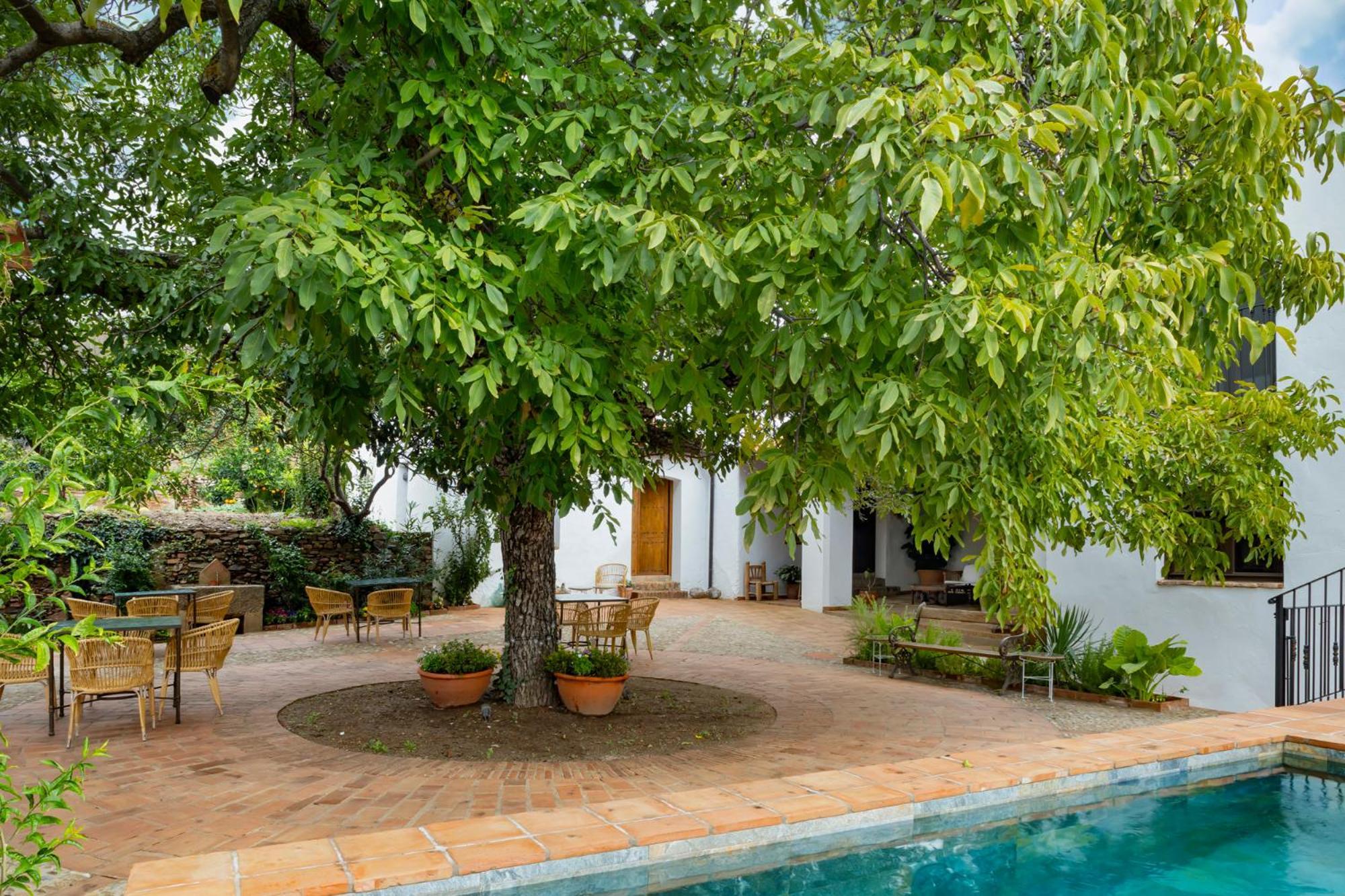 Apartamentos Turisticos El Patio Del Nogal 구아달루페 외부 사진
